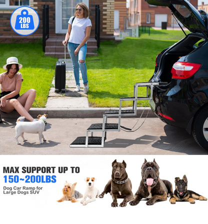 Ramps for Cars