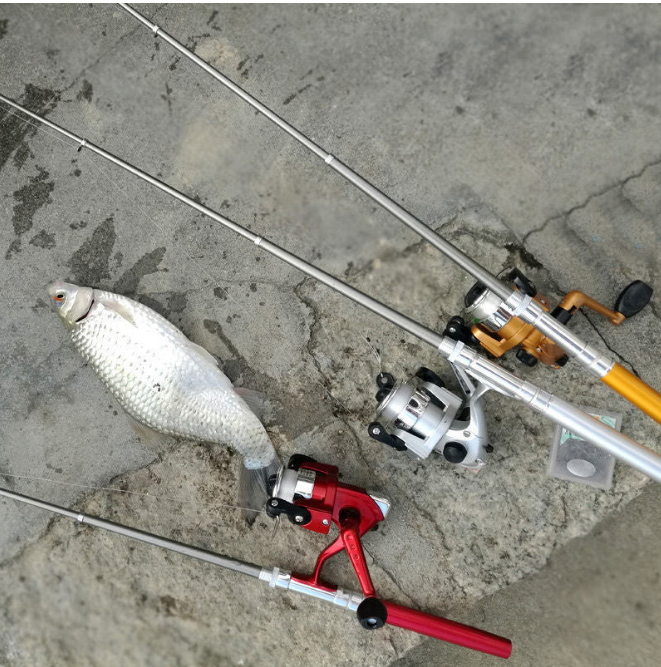 Pocket Size Fishing Rod